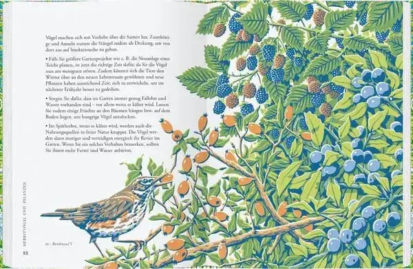 pflanzen-fur-gartenvogel-kunstundspiel-3 - kunstundspiel 