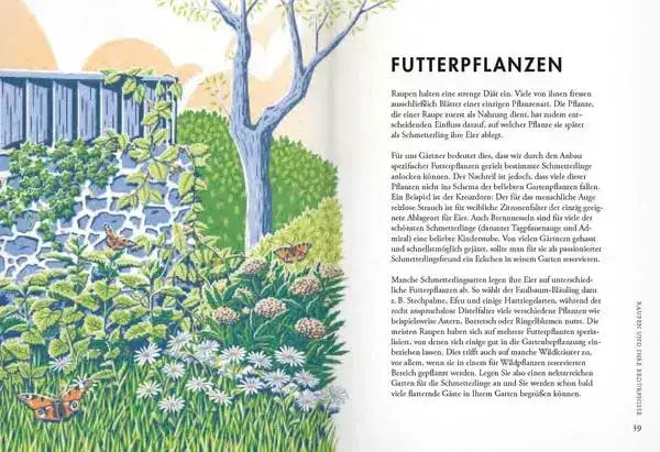 pflanzen-fur-schmetterlinge-kunstundspiel-4 - kunstundspiel 