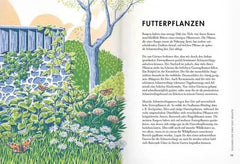 pflanzen-fur-schmetterlinge-kunstundspiel-4 - kunstundspiel 
