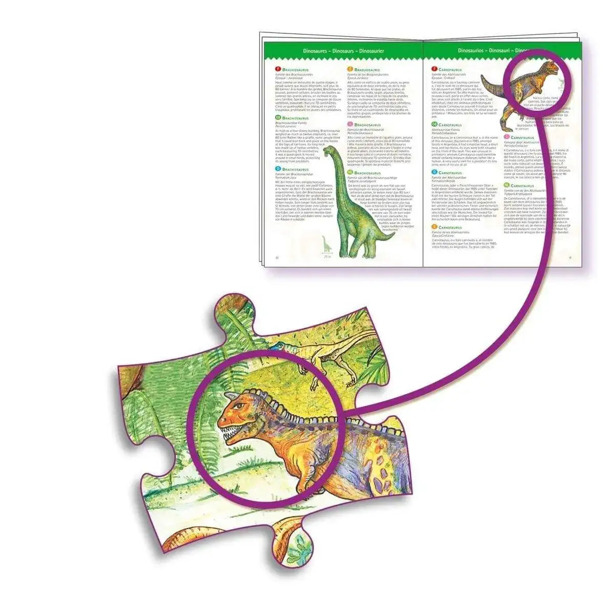 puzzle-100-teile-dinosaurier-100-teile-buch-kunstundspiel-3 - kunstundspiel 