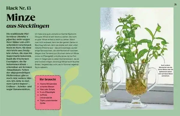 regrow-kunstundspiel-6 - kunstundspiel 