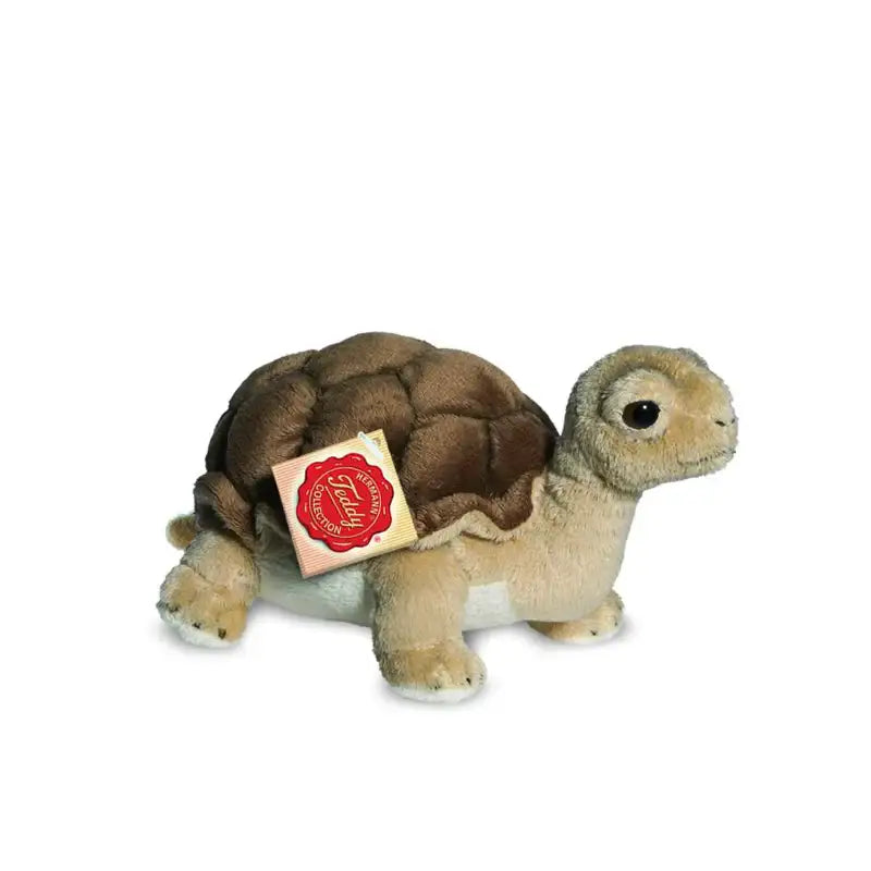 schildkrote-20-cm-kuscheltier-kunstundspiel-1 - kunstundspiel 