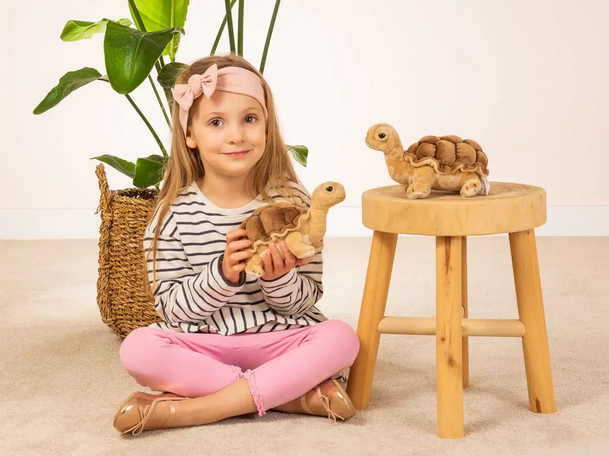 schildkrote-20-cm-kuscheltier-kunstundspiel-3 - kunstundspiel 