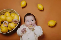 petit-boum_sensorikspielzeug_donut_carrot_1__1920x1920_797053e3-493e-459e-989d-979d3fcc32e9 - kunstundspiel 