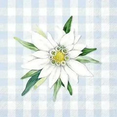 servietten-klein-edelweiss-und-gentian-kunstundspiel-1 - kunstundspiel 