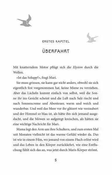 sommer-auf-solupp-solupp-bd-1-taschenbuchausgabe-kunstundspiel-2 - kunstundspiel 