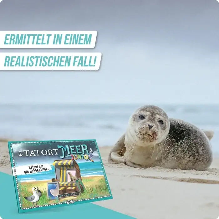 tatort-meer-junior-ratsel-um-die-robbenbilder-ab-6-jahren-kunstundspiel-5 - kunstundspiel 