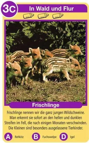 Tier Quartett - Tierkinder Ravensburger Spiele