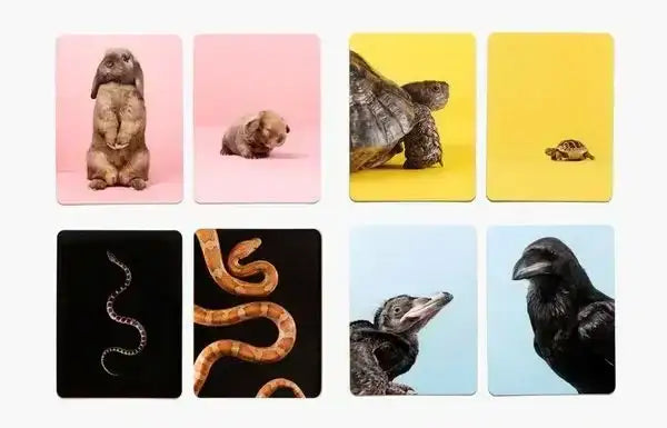 tierbaby-memo-kleinandgross-kunstundspiel-6 - kunstundspiel 