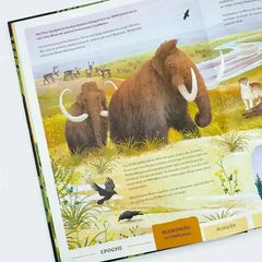 urwelten-eine-illustrierte-entdeckungsreise-durch-die-erdgeschichte-kunstundspiel-4 - kunstundspiel 