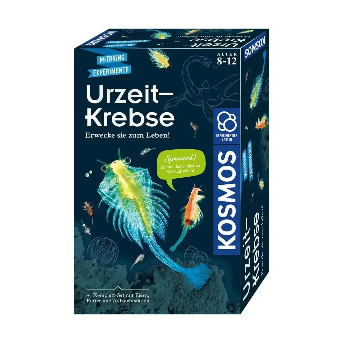 urzeit-krebse-kunstundspiel-1 - kunstundspiel 