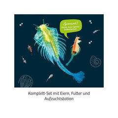 urzeit-krebse-kunstundspiel-2 - kunstundspiel 