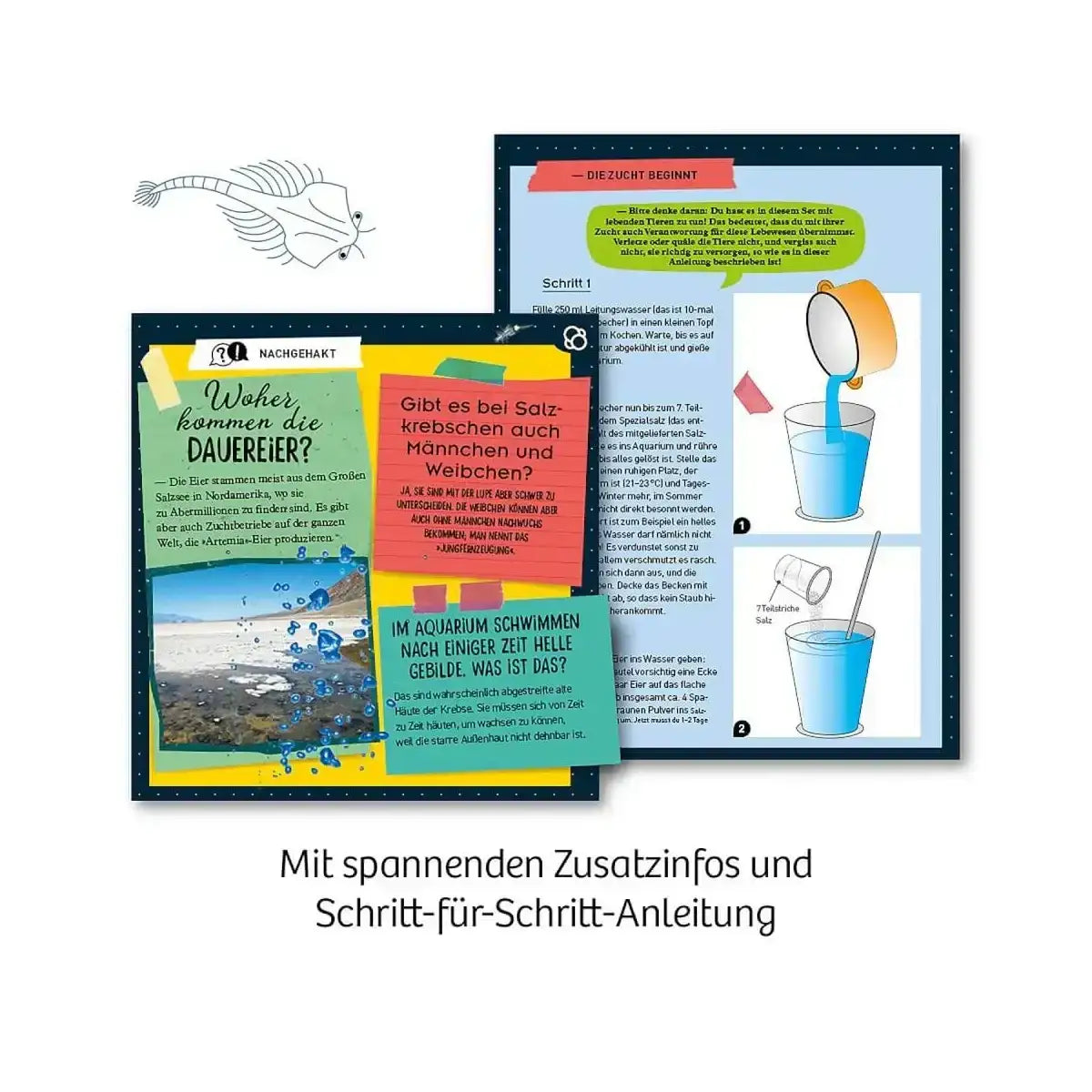 urzeit-krebse-kunstundspiel-4 - kunstundspiel 