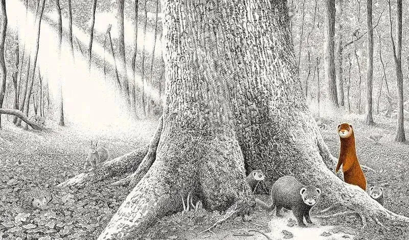 versteckt-im-wald-kunstundspiel-2 - kunstundspiel 