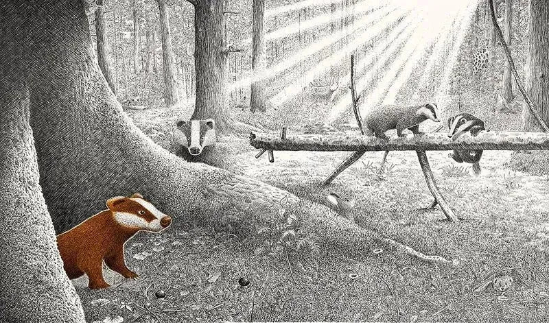 versteckt-im-wald-kunstundspiel-6 - kunstundspiel 
