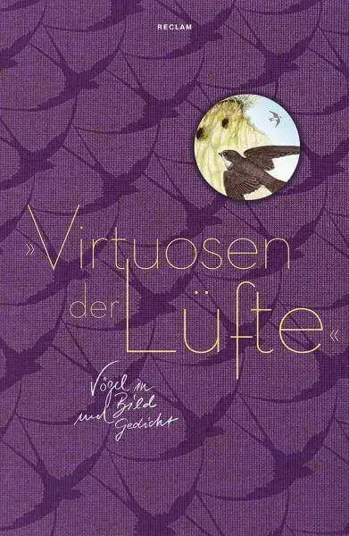 virtuosen-der-lufte-kunstundspiel-1 - kunstundspiel 