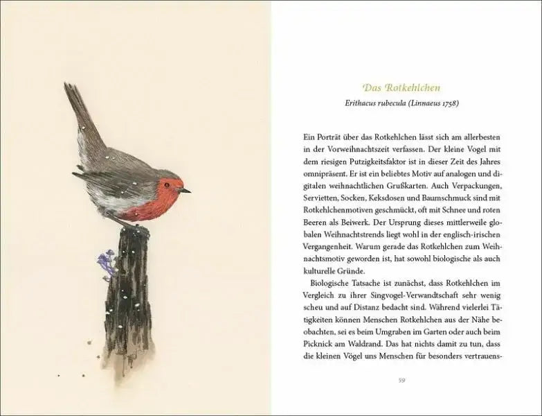 vom-gluck-des-vogelgesangs-kunstundspiel-25241 - kunstundspiel 