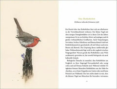 vom-gluck-des-vogelgesangs-kunstundspiel-25241 - kunstundspiel 
