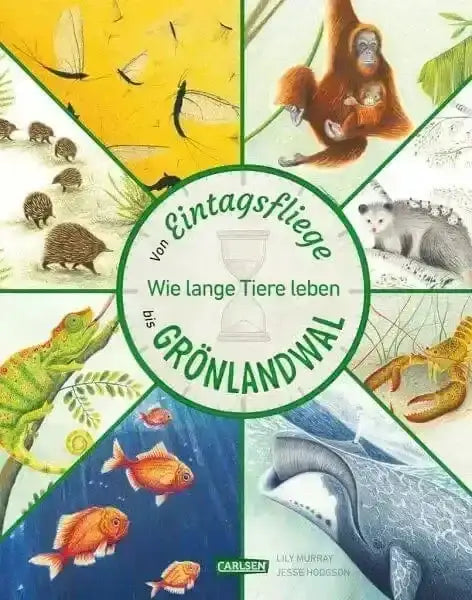von-eintagsfliege-bis-gronlandwal-kunstundspiel-1 - kunstundspiel 