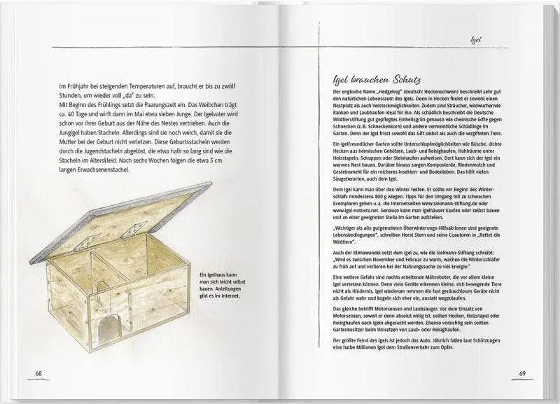 von-elstern-eichhornchen-und-erdhummeln-kunstundspiel-6 - kunstundspiel 