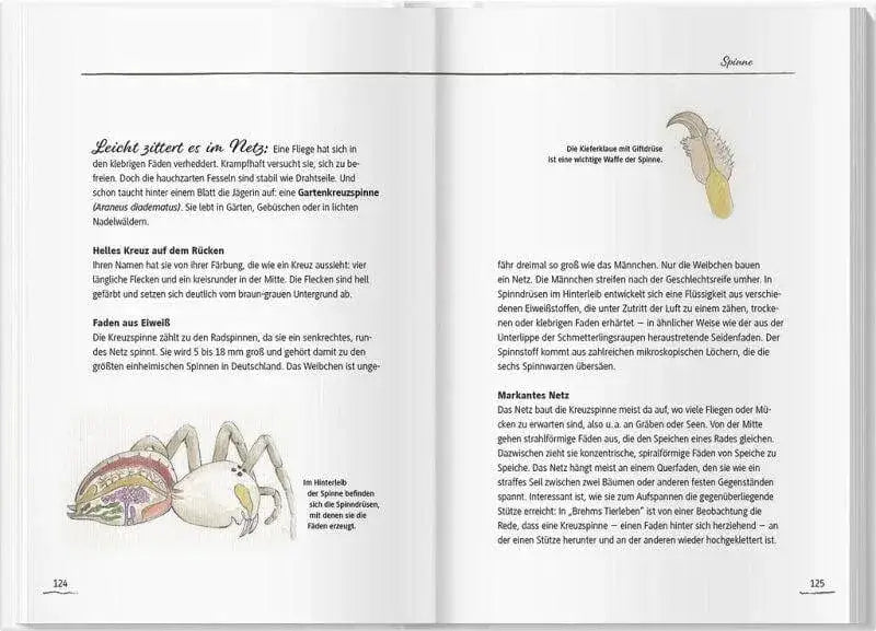 von-elstern-eichhornchen-und-erdhummeln-kunstundspiel-9 - kunstundspiel 