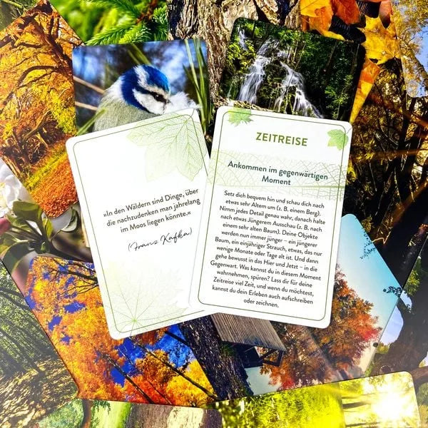 waldbaden-to-go-kunstundspiel-3 - kunstundspiel 