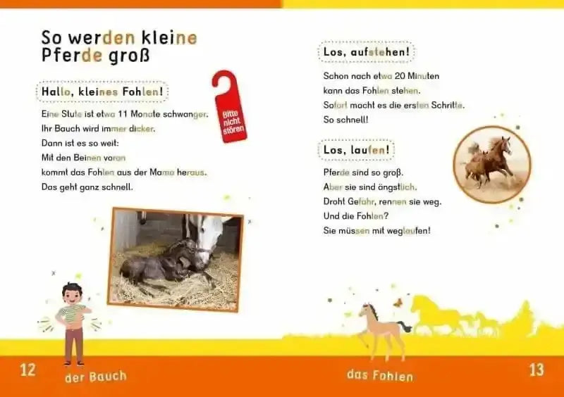 weisst-du-schon-alles-uber-pferde-kunstundspiel-2 - kunstundspiel 