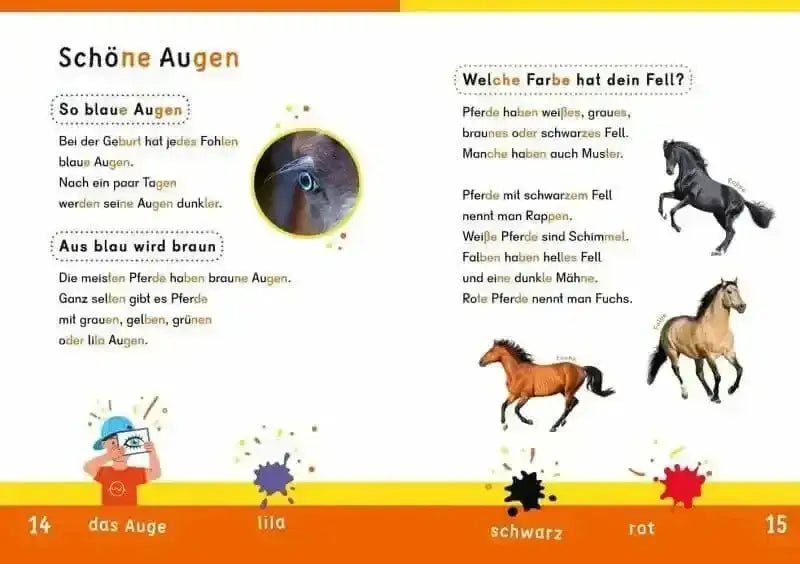 weisst-du-schon-alles-uber-pferde-kunstundspiel-3 - kunstundspiel 