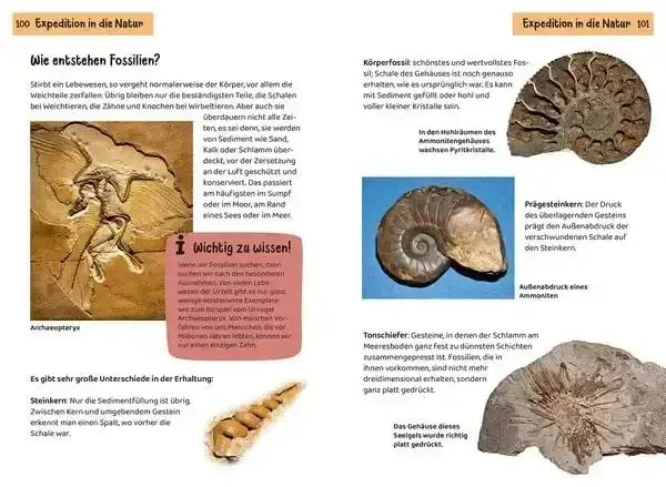 welcher-stein-ist-das-kindernaturfuhrer-kunstundspiel-4 - kunstundspiel 