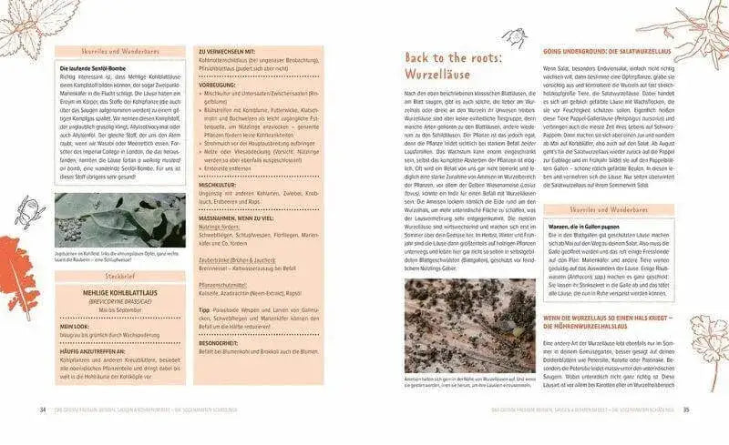 wer-knabbert-da-an-meinem-gemuse-kunstundspiel-5 - kunstundspiel 