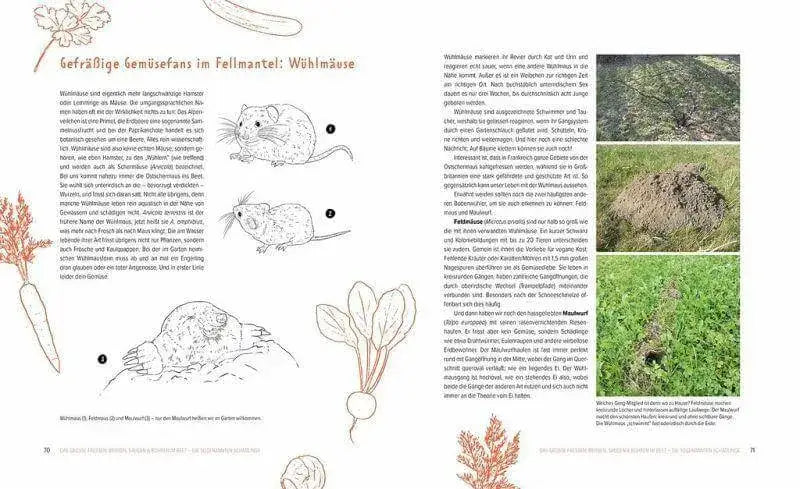 wer-knabbert-da-an-meinem-gemuse-kunstundspiel-6 - kunstundspiel 