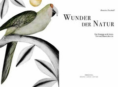 wunder-der-natur-kunstundspiel-2 - kunstundspiel 