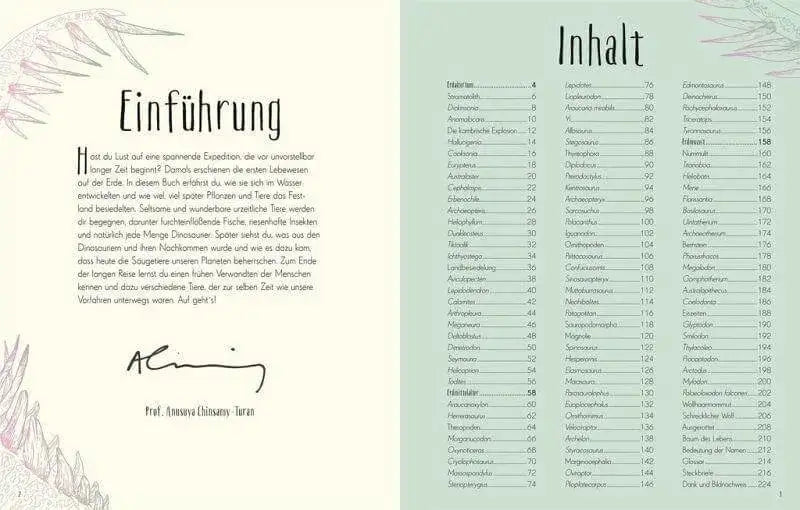 wundervolle-welt-der-dinosaurier-und-der-urzeit-kunstundspiel-2 - kunstundspiel 