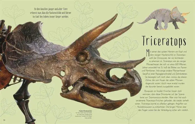 wundervolle-welt-der-dinosaurier-und-der-urzeit-kunstundspiel-7 - kunstundspiel 