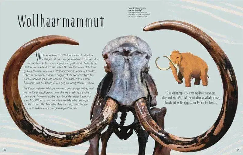 wundervolle-welt-der-dinosaurier-und-der-urzeit-kunstundspiel-8 - kunstundspiel 