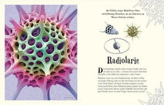 wundervolle-welt-der-natur-kunstundspiel-3 - kunstundspiel 