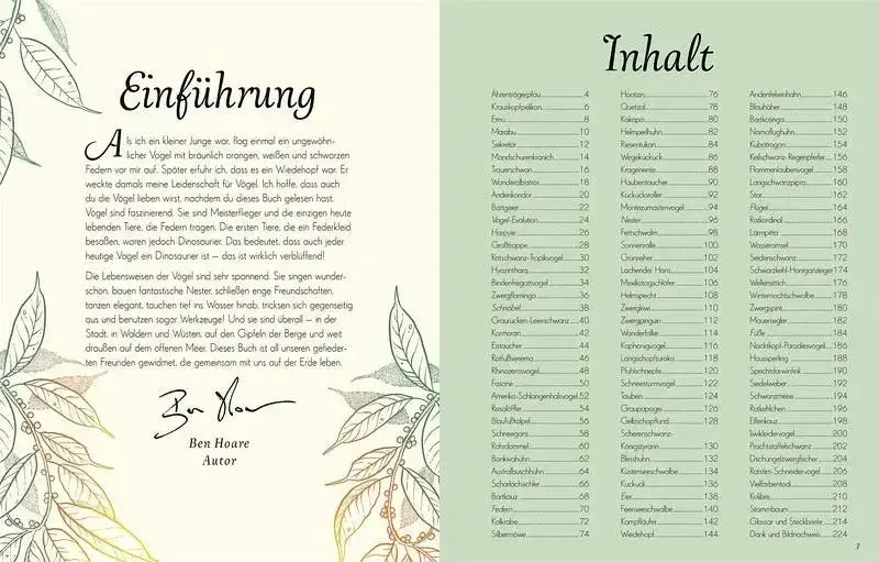 wundervolle-welt-der-vogel-kunstundspiel-3 - kunstundspiel 