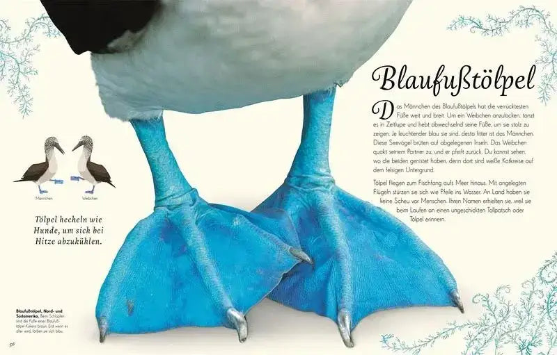 wundervolle-welt-der-vogel-kunstundspiel-4 - kunstundspiel 