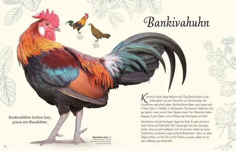 wundervolle-welt-der-vogel-kunstundspiel-5 - kunstundspiel 