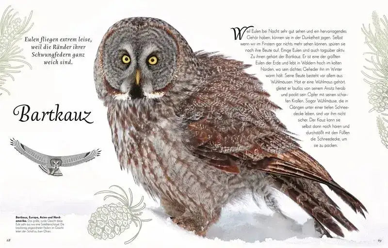 wundervolle-welt-der-vogel-kunstundspiel-6 - kunstundspiel 