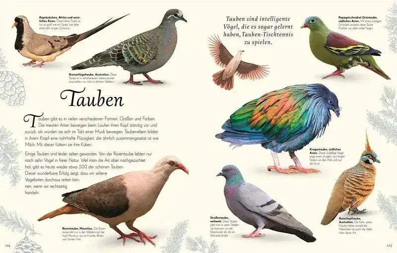 wundervolle-welt-der-vogel-kunstundspiel-7 - kunstundspiel 
