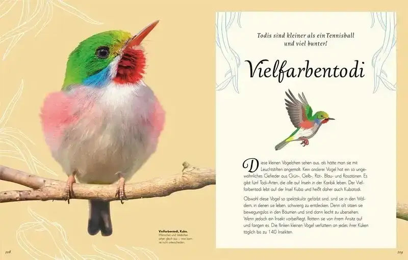 wundervolle-welt-der-vogel-kunstundspiel-8 - kunstundspiel 