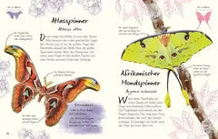 wundervolle-welt-kleine-schatze-schmetterlinge-kunstundspiel-4 - kunstundspiel 