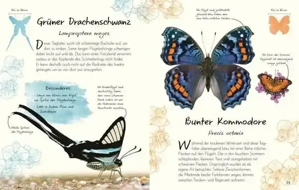wundervolle-welt-kleine-schatze-schmetterlinge-kunstundspiel-5 - kunstundspiel 
