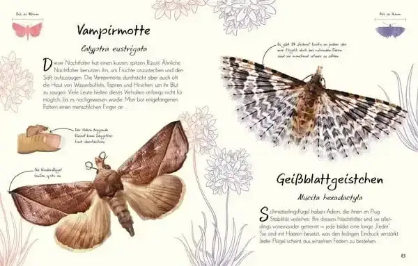wundervolle-welt-kleine-schatze-schmetterlinge-kunstundspiel-6 - kunstundspiel 