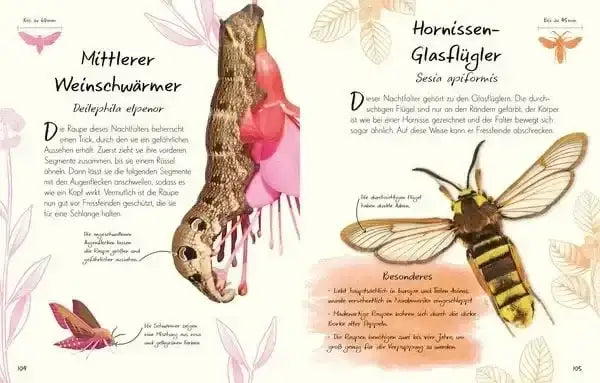 wundervolle-welt-kleine-schatze-schmetterlinge-kunstundspiel-7 - kunstundspiel 