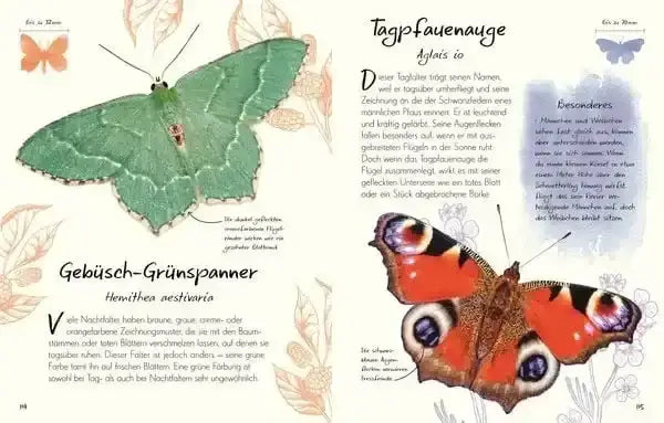 wundervolle-welt-kleine-schatze-schmetterlinge-kunstundspiel-8 - kunstundspiel 